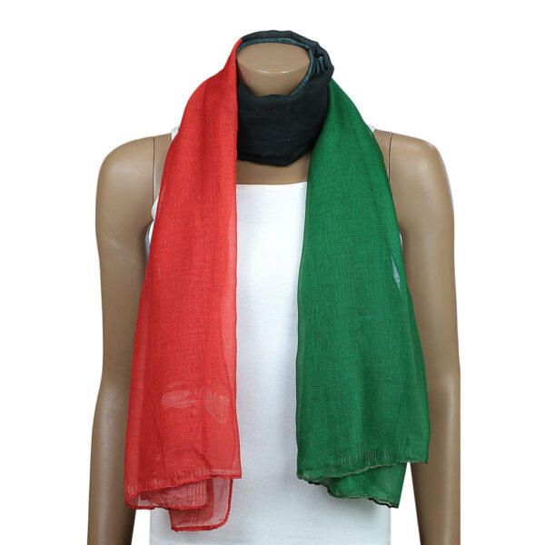 RBG Flag Scarf